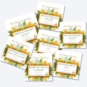 50 Family Night Bible Pop Quiz Cards - New Testament Edition